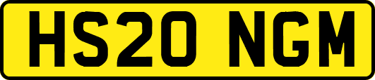 HS20NGM