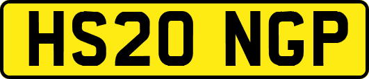HS20NGP