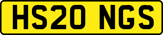 HS20NGS