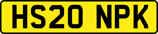 HS20NPK