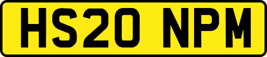 HS20NPM