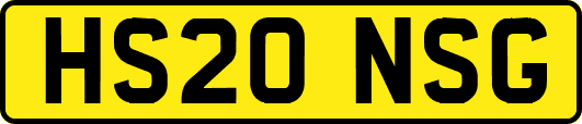 HS20NSG