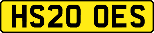 HS20OES