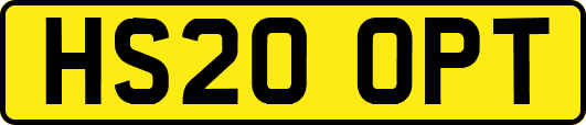 HS20OPT