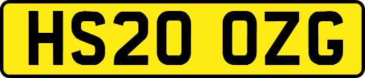 HS20OZG