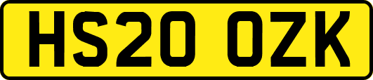 HS20OZK