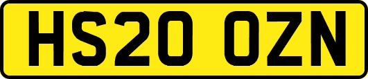 HS20OZN