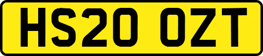 HS20OZT