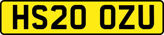 HS20OZU