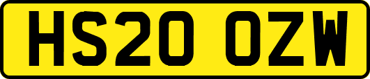 HS20OZW
