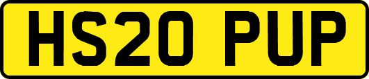 HS20PUP