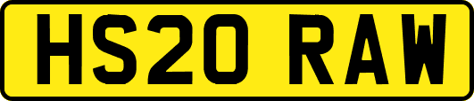 HS20RAW
