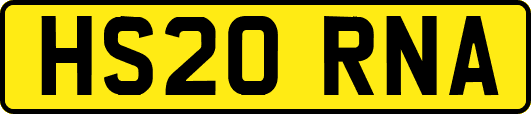 HS20RNA