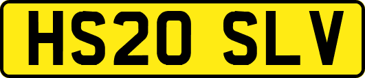 HS20SLV