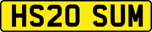 HS20SUM