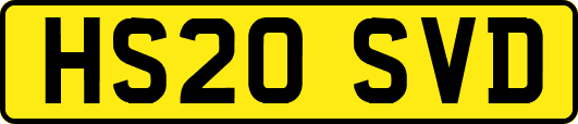 HS20SVD