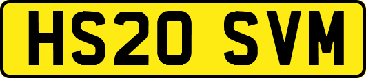 HS20SVM