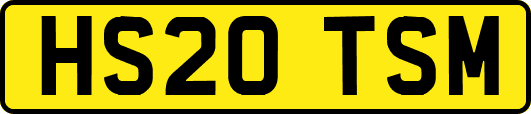 HS20TSM
