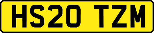 HS20TZM