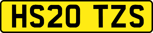 HS20TZS