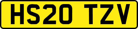 HS20TZV