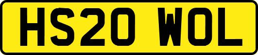 HS20WOL