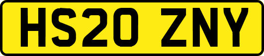 HS20ZNY