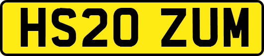 HS20ZUM