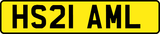 HS21AML
