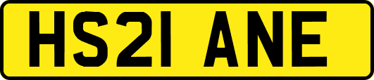 HS21ANE