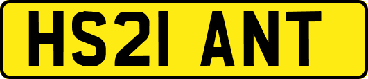 HS21ANT
