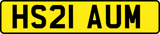 HS21AUM