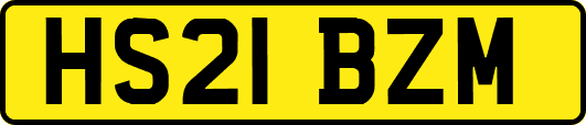 HS21BZM
