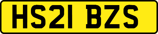 HS21BZS
