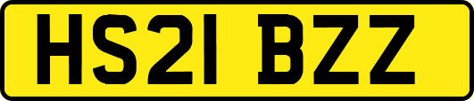 HS21BZZ