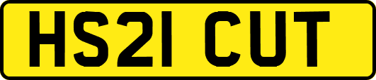 HS21CUT
