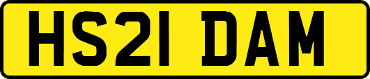 HS21DAM