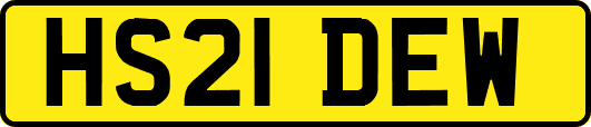 HS21DEW