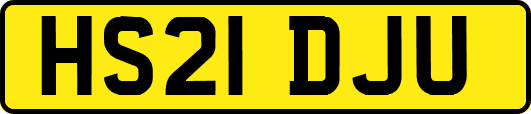 HS21DJU