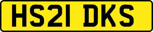 HS21DKS