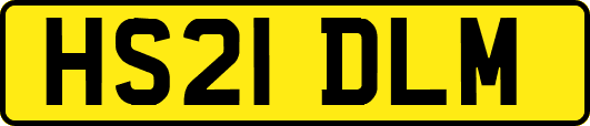 HS21DLM