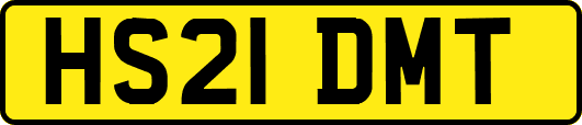 HS21DMT