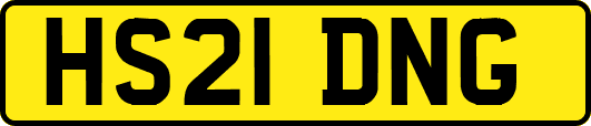 HS21DNG