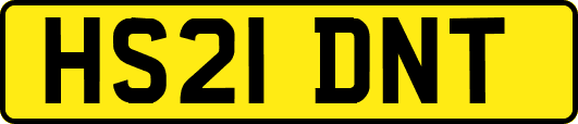 HS21DNT