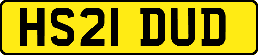 HS21DUD