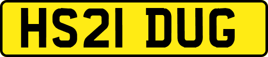 HS21DUG