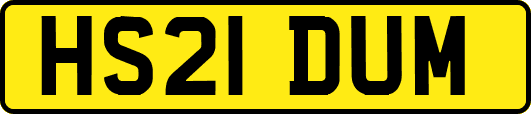 HS21DUM
