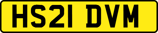 HS21DVM