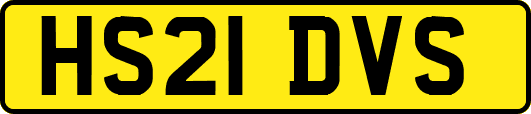 HS21DVS