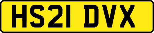 HS21DVX